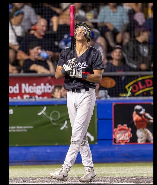 Peloteros hitter in a black Teros jersey at the plate
